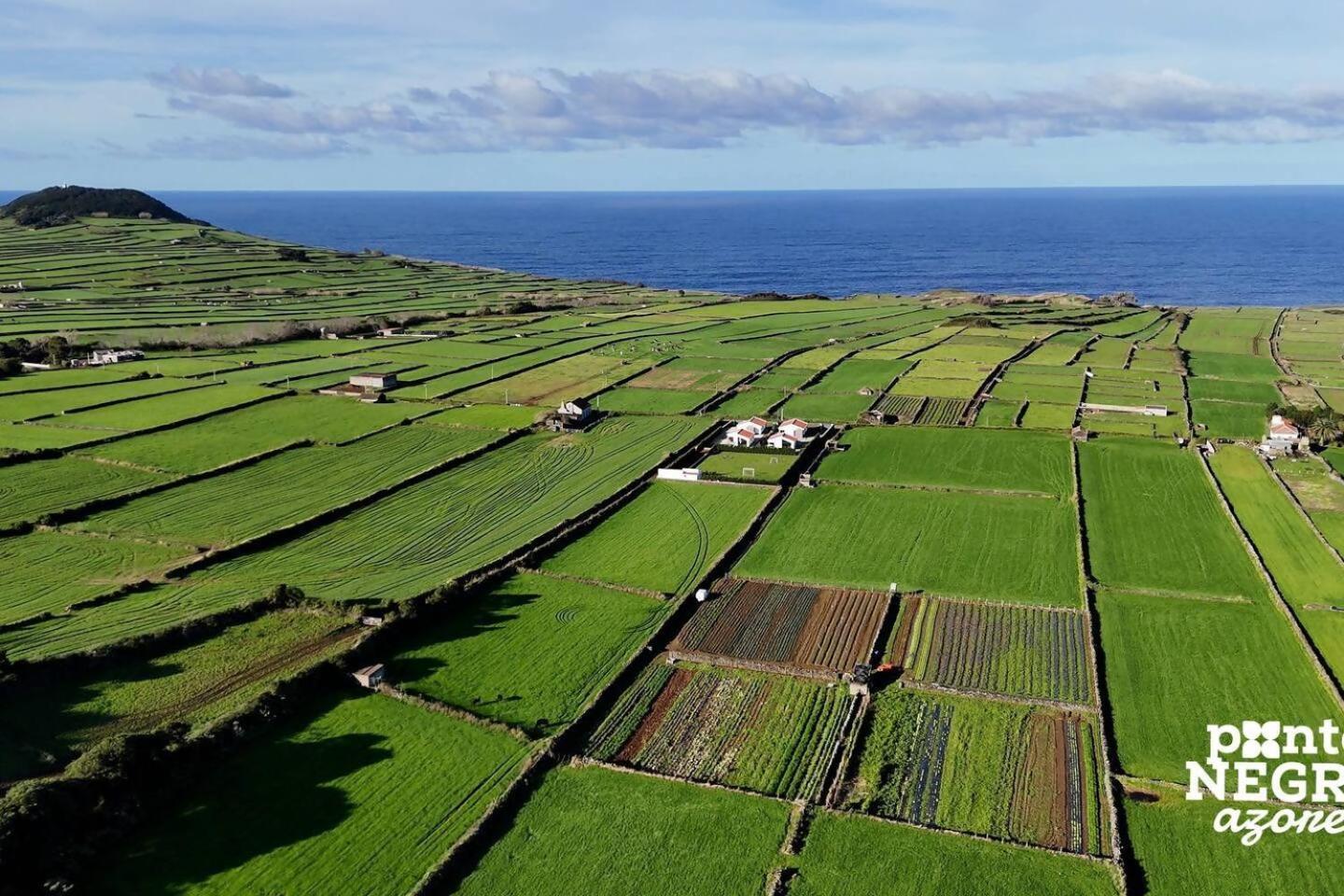 Wine House By Ponta Negra Azores Altares Esterno foto